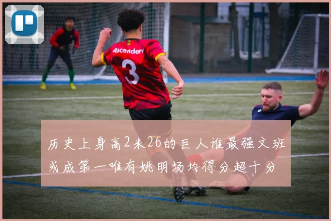 历史上身高2米26的巨人谁最强文班或成第一唯有姚明场均得分超十分