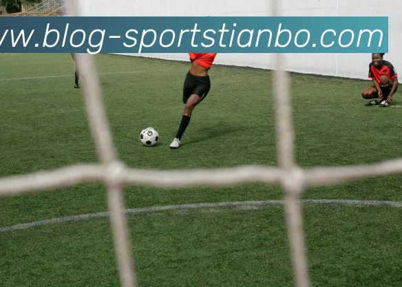 天博体育APP 封面图